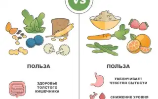 Продукты, богатые клетчаткой: список самых полезных для здоровья