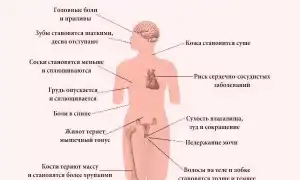 Почему у женщин начинает расти живот (нет, это не беременность) — причины и советы
