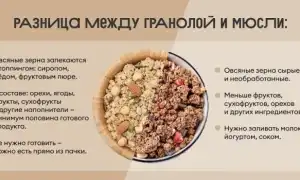 Что такое гранола и чем она полезна для здоровья: полезные свойства и рецепты