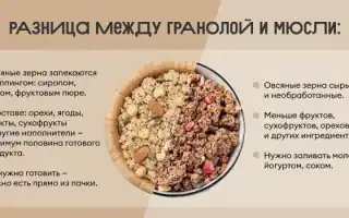Что такое гранола и чем она полезна для здоровья: полезные свойства и рецепты