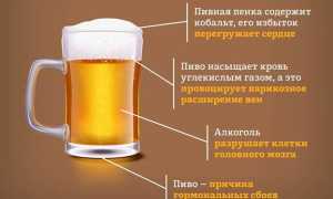 Есть ли какая-нибудь польза от живого пива для здоровья?