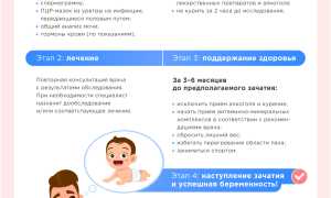 Подготовка к зачатию ребенка: что нужно сделать мужчине для успешного процесса