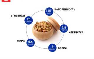 5 полезных свойств чечевицы для здоровья, возможные побочные эффекты и рекомендации