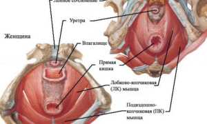 Вредно ли женщинам поднимать тяжелое? Мнение экспертов