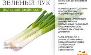 Польза зеленого лука для здоровья и благополучия