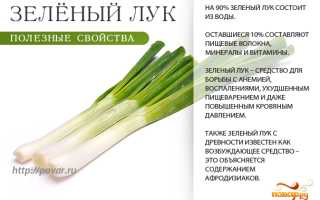 Польза зеленого лука для здоровья и благополучия