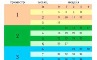 Сколько месяцев 37 недель беременности