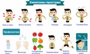 Часто простужаюсь и болею: что делать для укрепления здоровья?