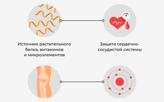 В чем польза и вред соевых продуктов для здоровья: научные данные и рекомендации