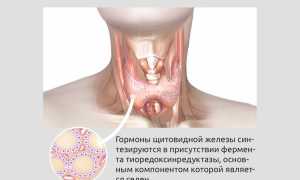 Дефицит селена: симптомы и признаки здоровья человека