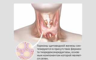 Дефицит селена: симптомы и признаки здоровья человека
