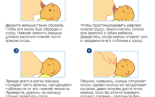 Сколько должен сосать грудь ребенок