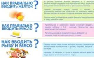Прикорм когда вводить яйцо