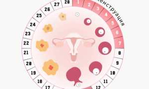 Могут ли антибиотики повлиять на менструальный цикл? Задержка месячных после лечения и возможные последствия
