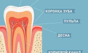 Чувствительные зубы: причины и лечение для здоровья