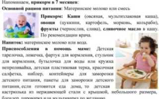 Прикорм в семь месяцев