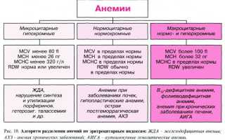 Классификация видов анемии: типы и особенности
