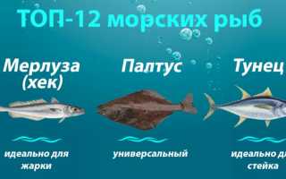 Самые полезные виды рыбы и морепродуктов для человека на каждый день для здоровья