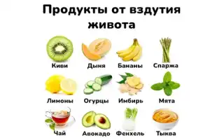 Какие продукты вызывают метеоризм в кишечнике у взрослых и как его избежать: полезные советы