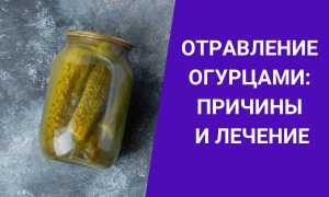 Отравление огурцами: симптомы, признаки и лечение для здоровья