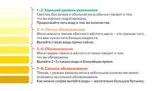 Как понять, что у вас обезвоживание по цвету мочи: полезные советы и рекомендации