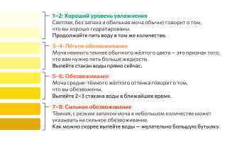 Как понять, что у вас обезвоживание по цвету мочи: полезные советы и рекомендации