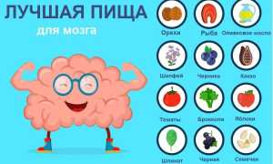 6 продуктов, полезных для вашего мозга и здоровья