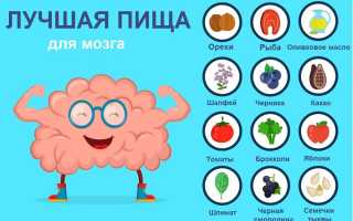6 продуктов, полезных для вашего мозга и здоровья