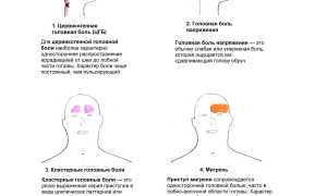 Приступы головных болей: когда и к какому врачу идти на прием для диагностики?