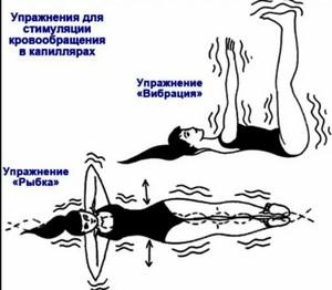 Гимнастика для сосудов