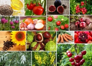 Народные методы