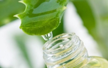 Лечебный сок алоэ