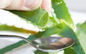 Ложка сока столетника