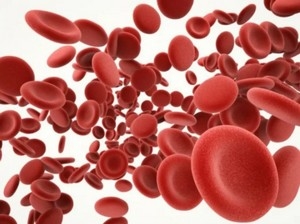 вязкость крови